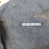 Image of BES24_WKh11 5-6