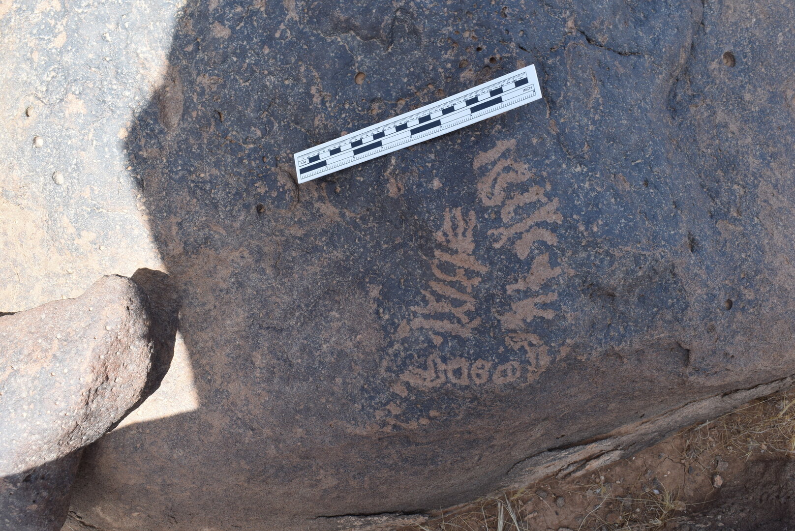 Image of BES24_WKh11 7