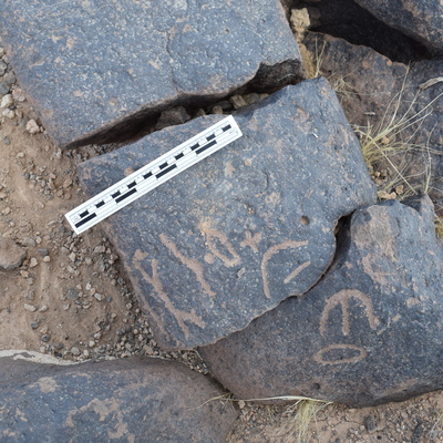Image of BES24_WKh11 8