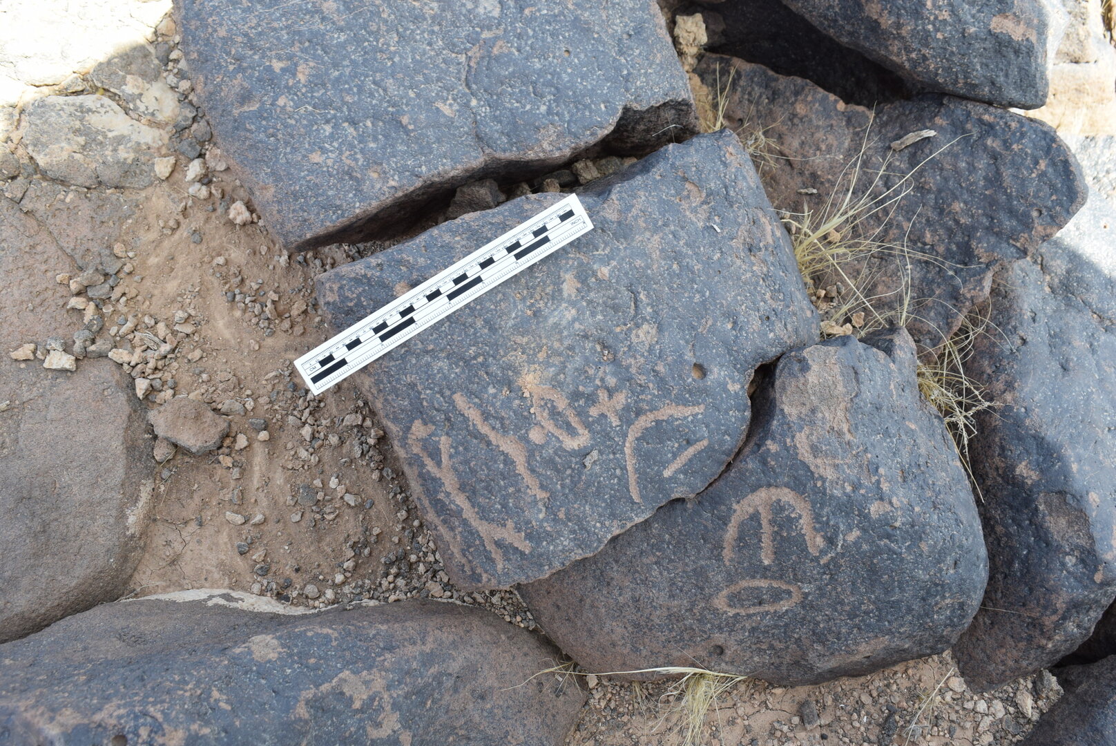 Image of BES24_WKh11 8