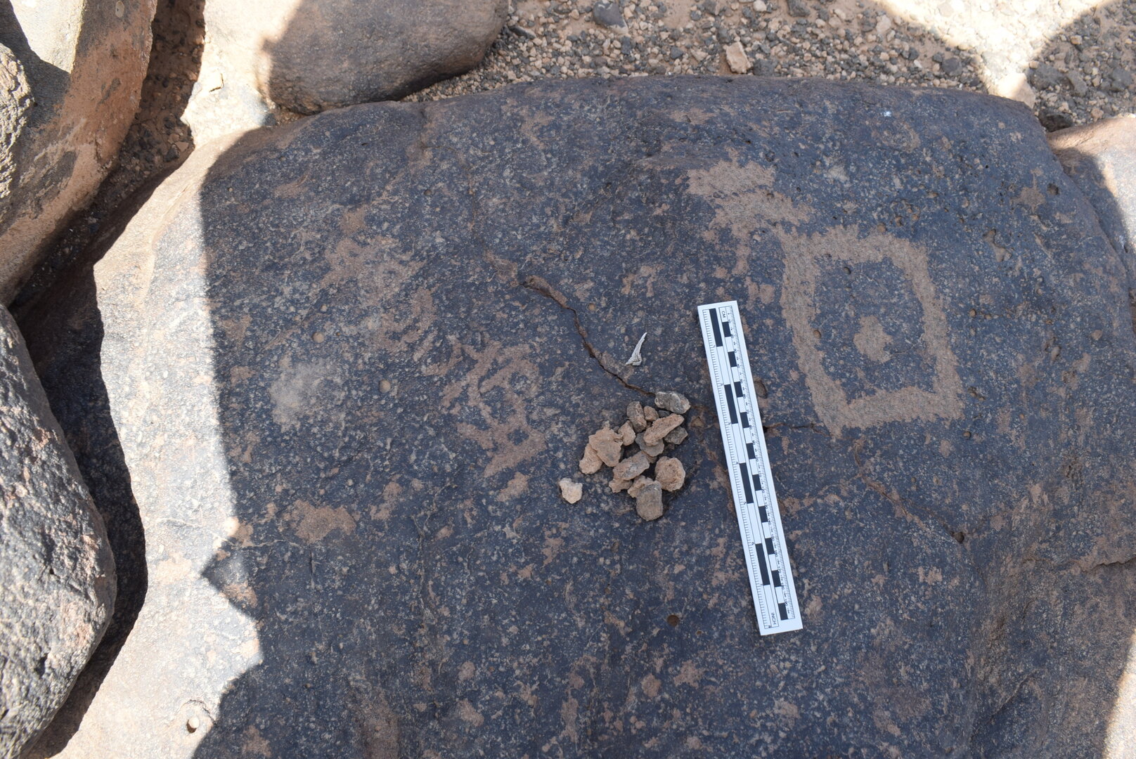 Image of BES24_WKh11 9