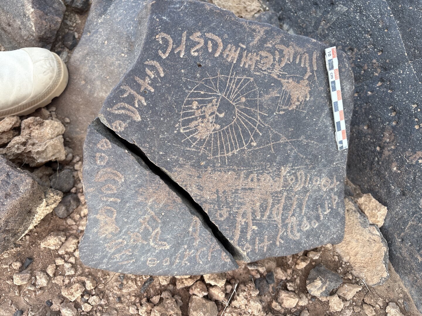 Image of BES25_MG1 11