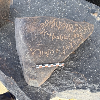 Image of BES25_MG1 12