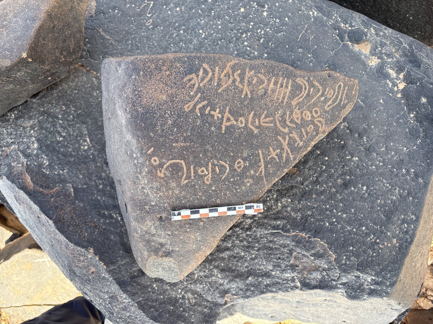 Image of BES25_MG1 12