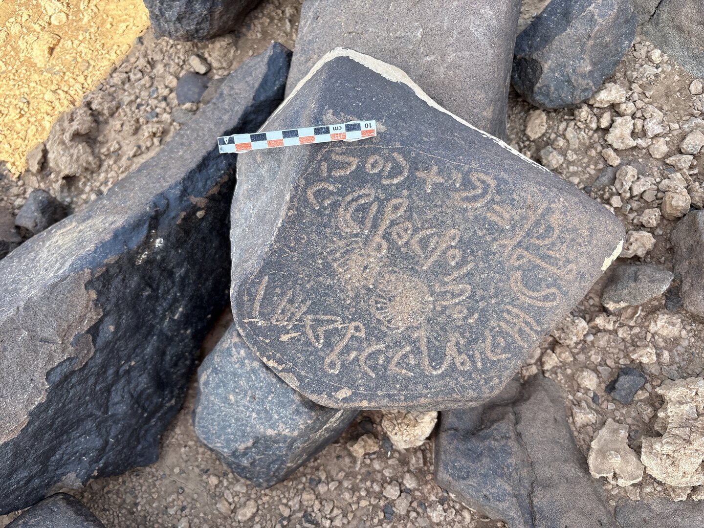 Image of BES25_MG1 1