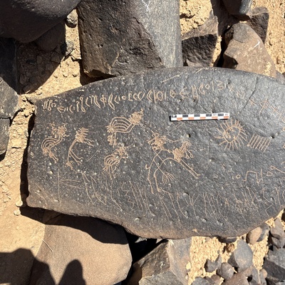 Image of BES25_MG1 18