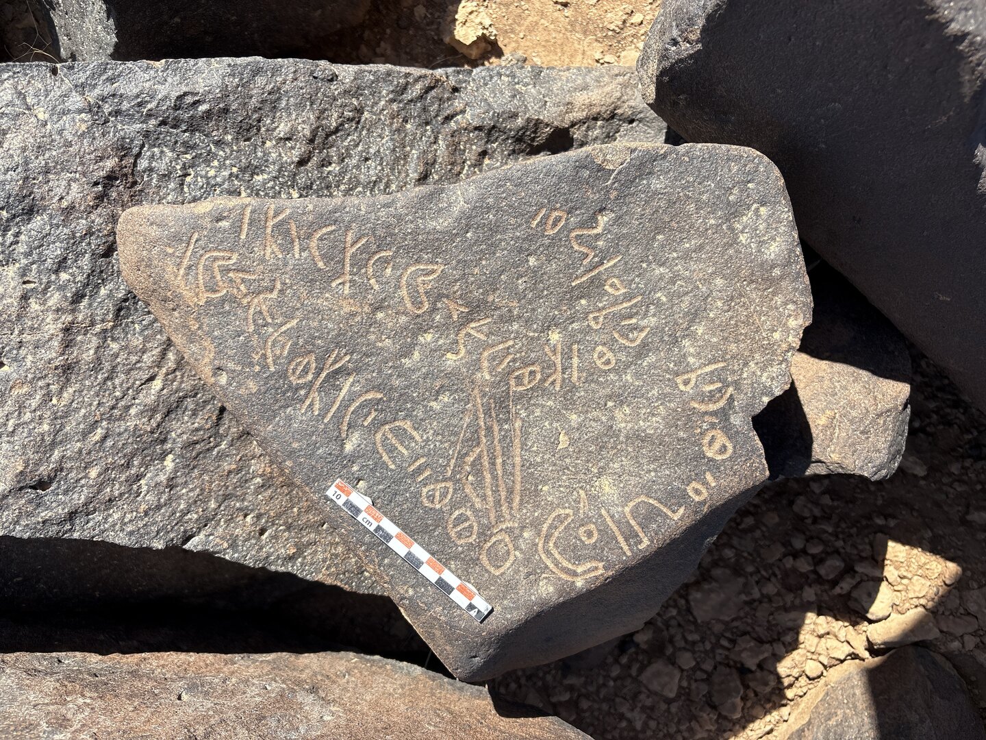 Image of BES25_MG1 19.2