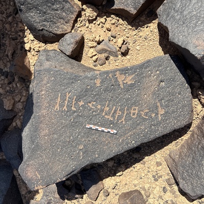 Image of BES25_MG1 20