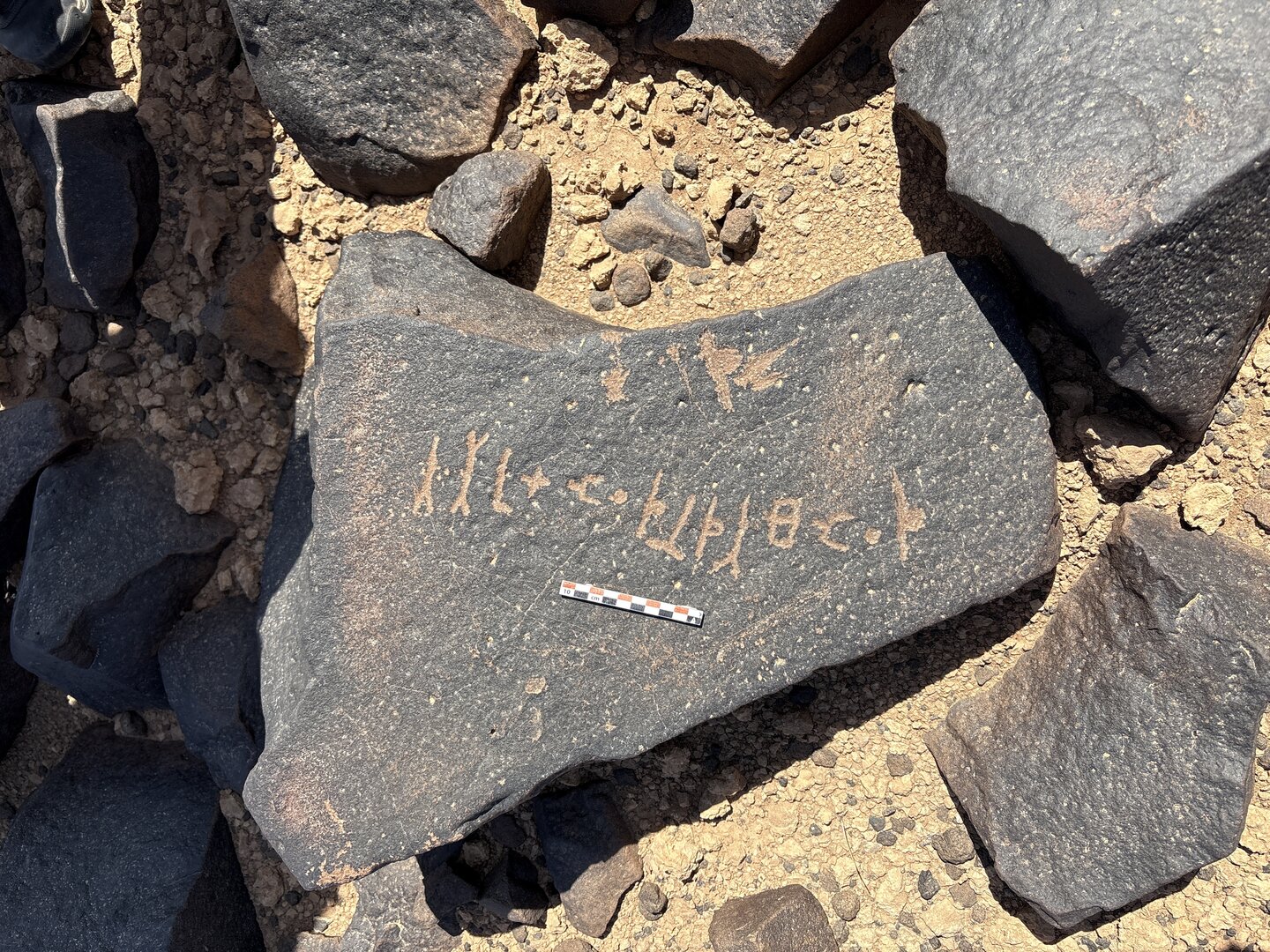 Image of BES25_MG1 20