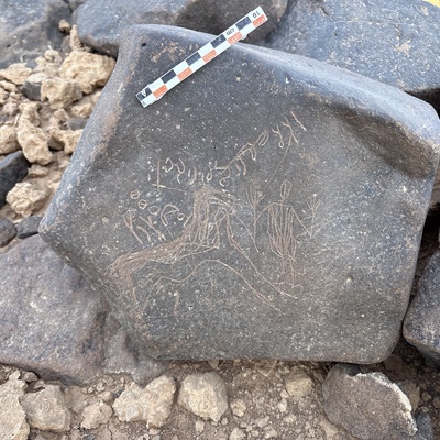 Image of BES25_MG1 21