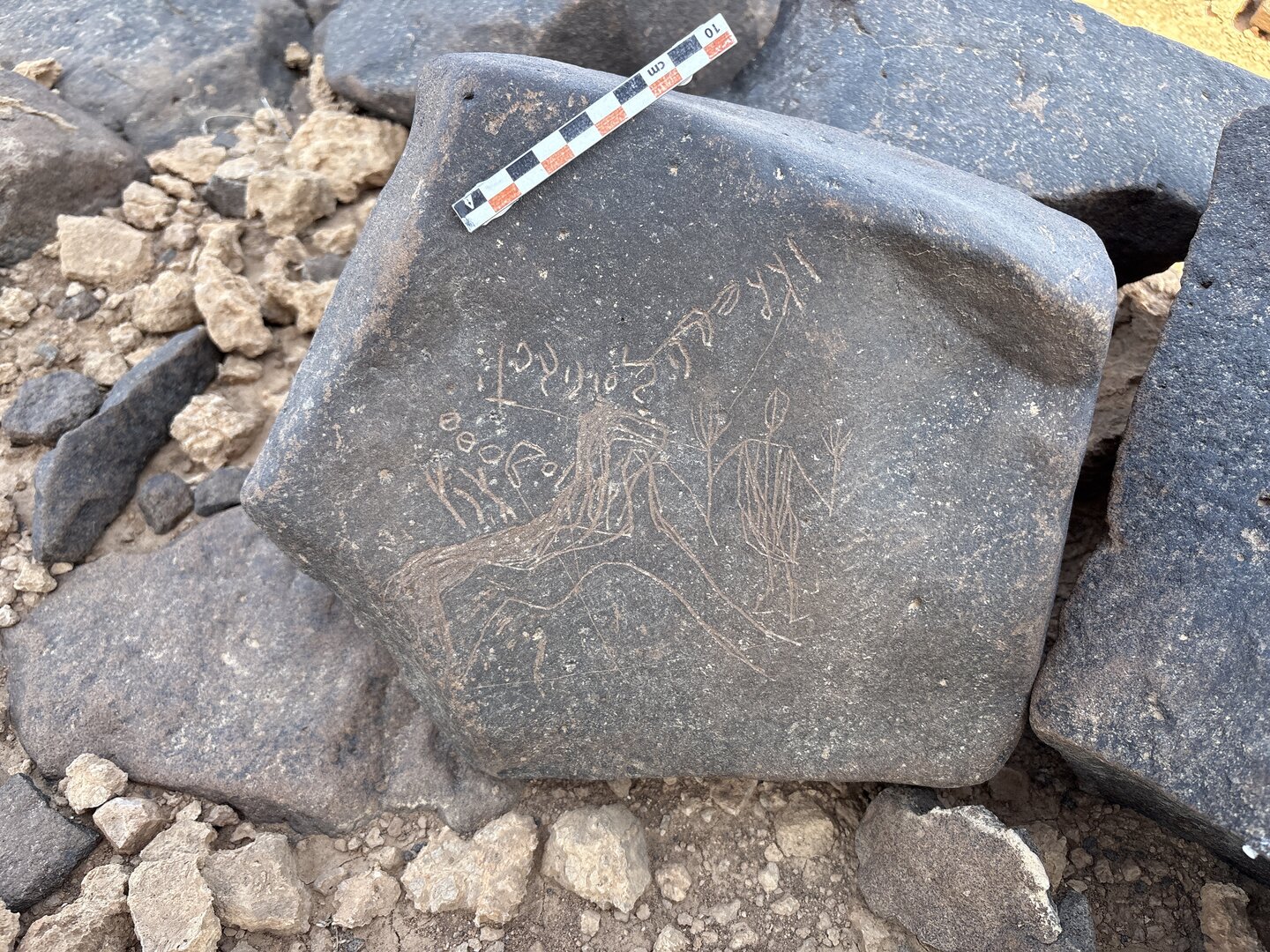 Image of BES25_MG1 21