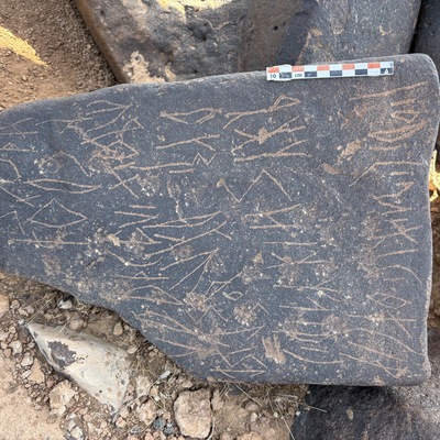 Image of BES25_MG1 22.1
