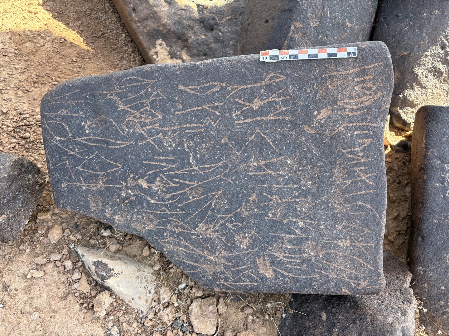 Image of BES25_MG1 22.1