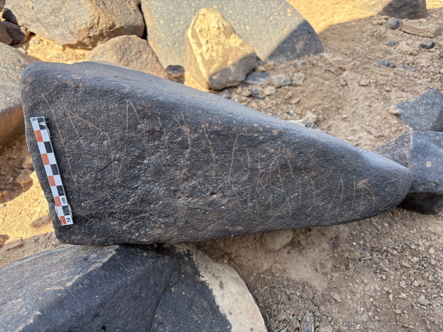 Image of BES25_MG1 22.1