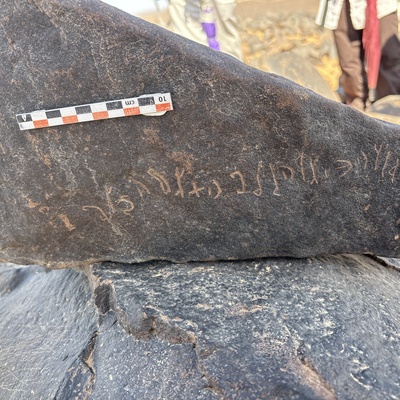 Image of BES25_MG1 24