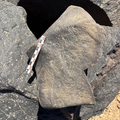 Image of BES25_MG1 25.1