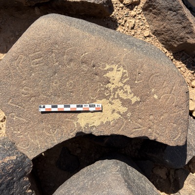 Image of BES25_MG1 26