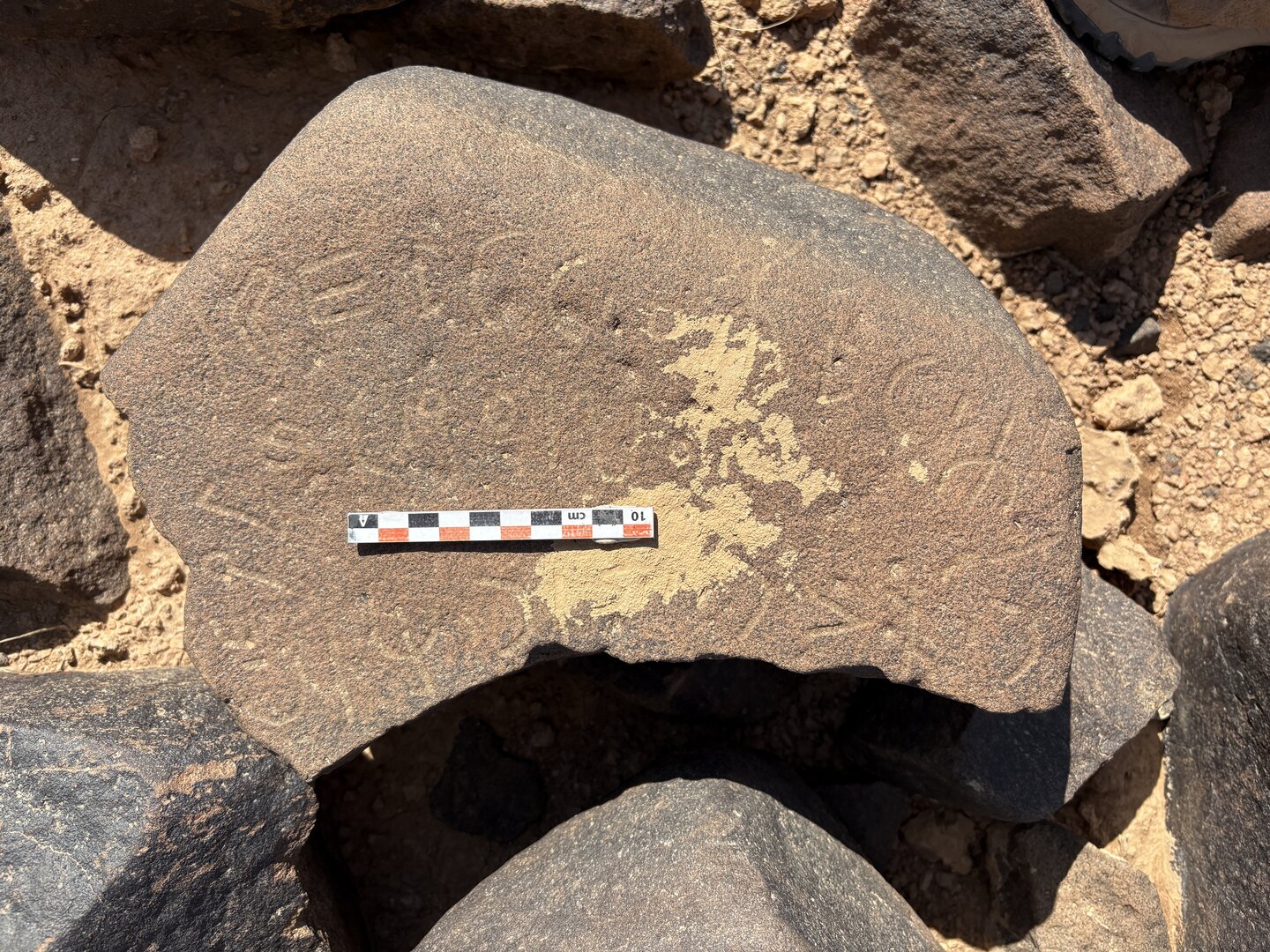 Image of BES25_MG1 26