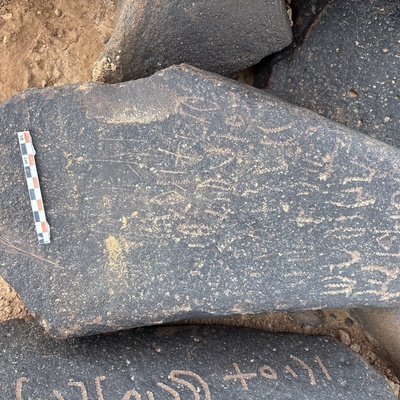 Image of BES25_MG1 28