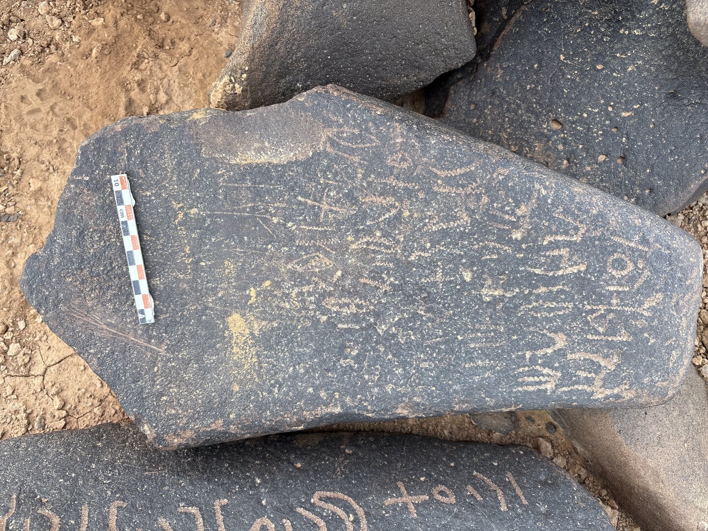 Image of BES25_MG1 28
