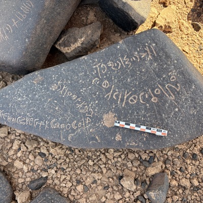 Image of BES25_MG1 3.1