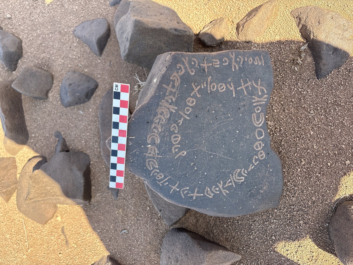 Image of BES25_MG1 31