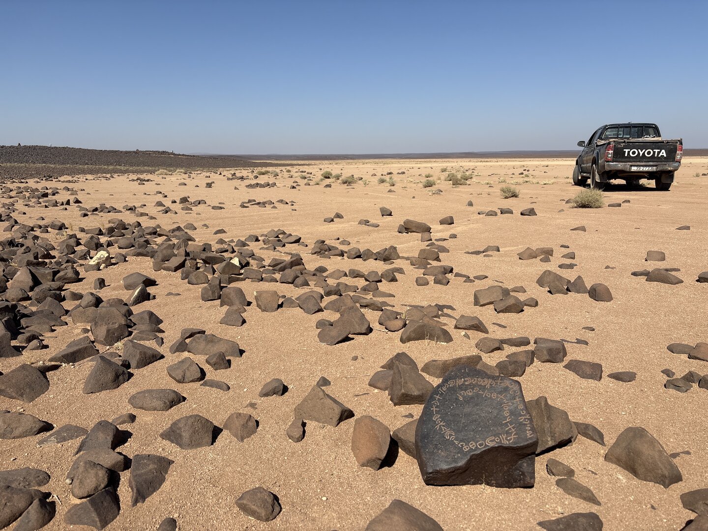 Image of BES25_MG1 31