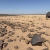Image of BES25_MG1 31