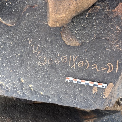 Image of BES25_MG1 8