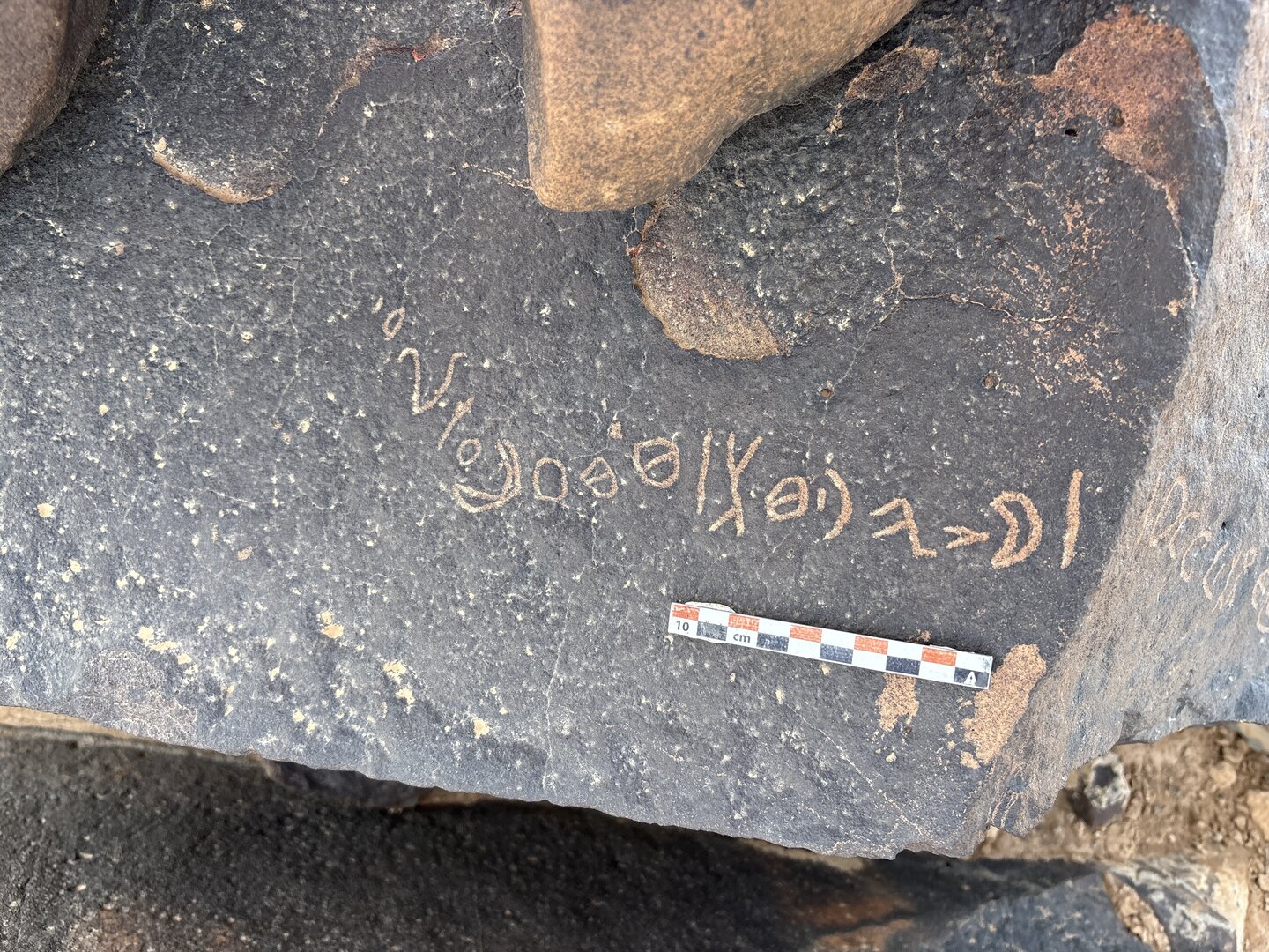 Image of BES25_MG1 8