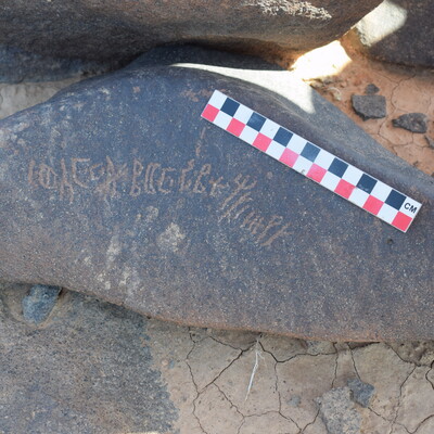 Image of BES25_WSh16 1