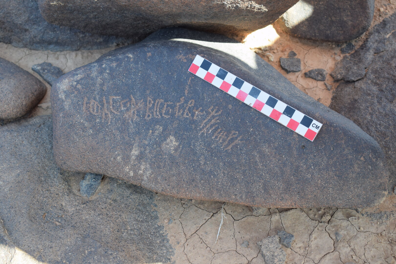 Image of BES25_WSh16 1