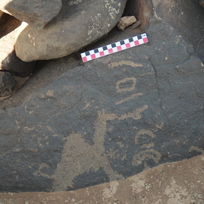 Image of BES26_HRN1 1