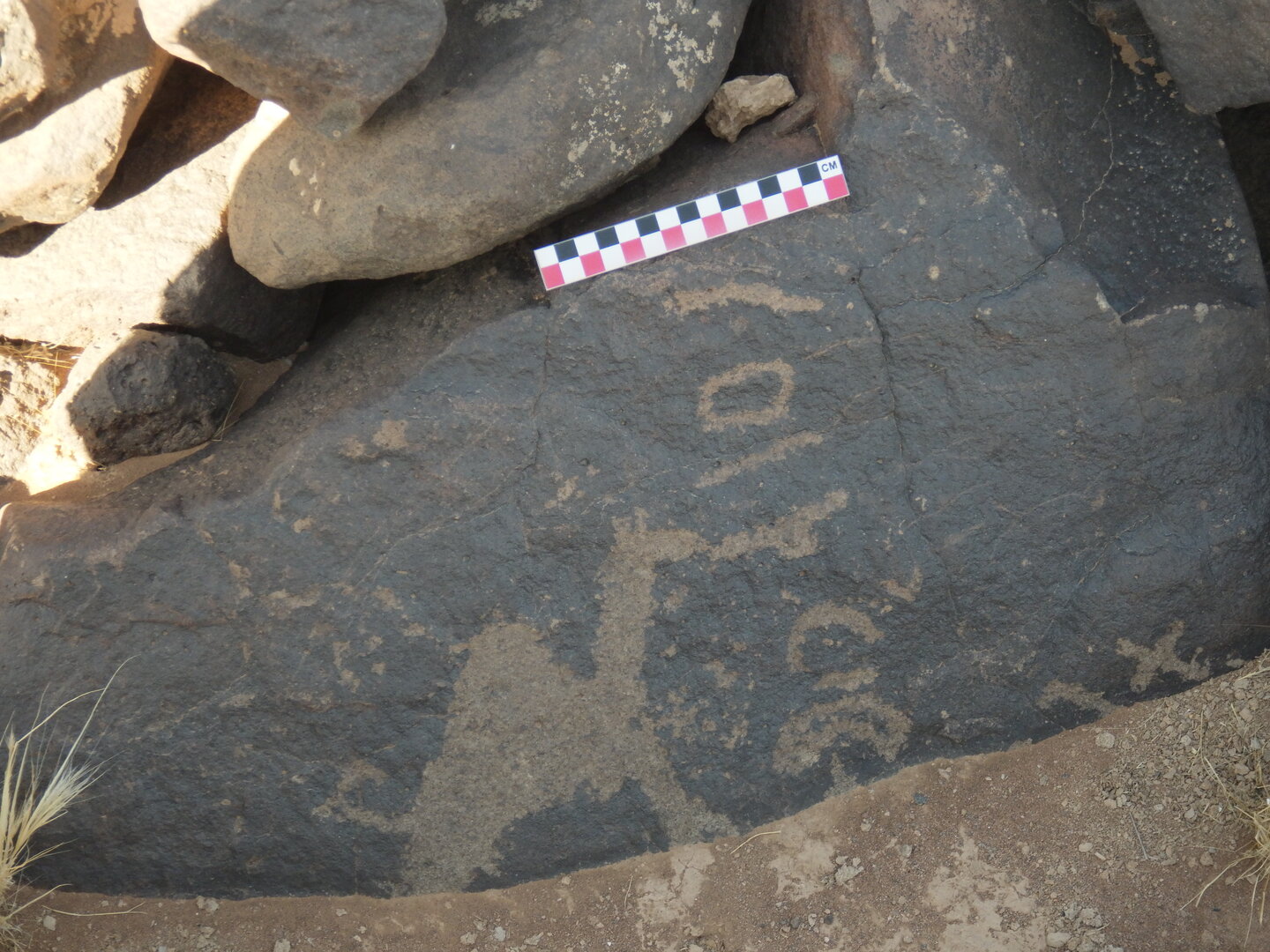 Image of BES26_HRN1 1