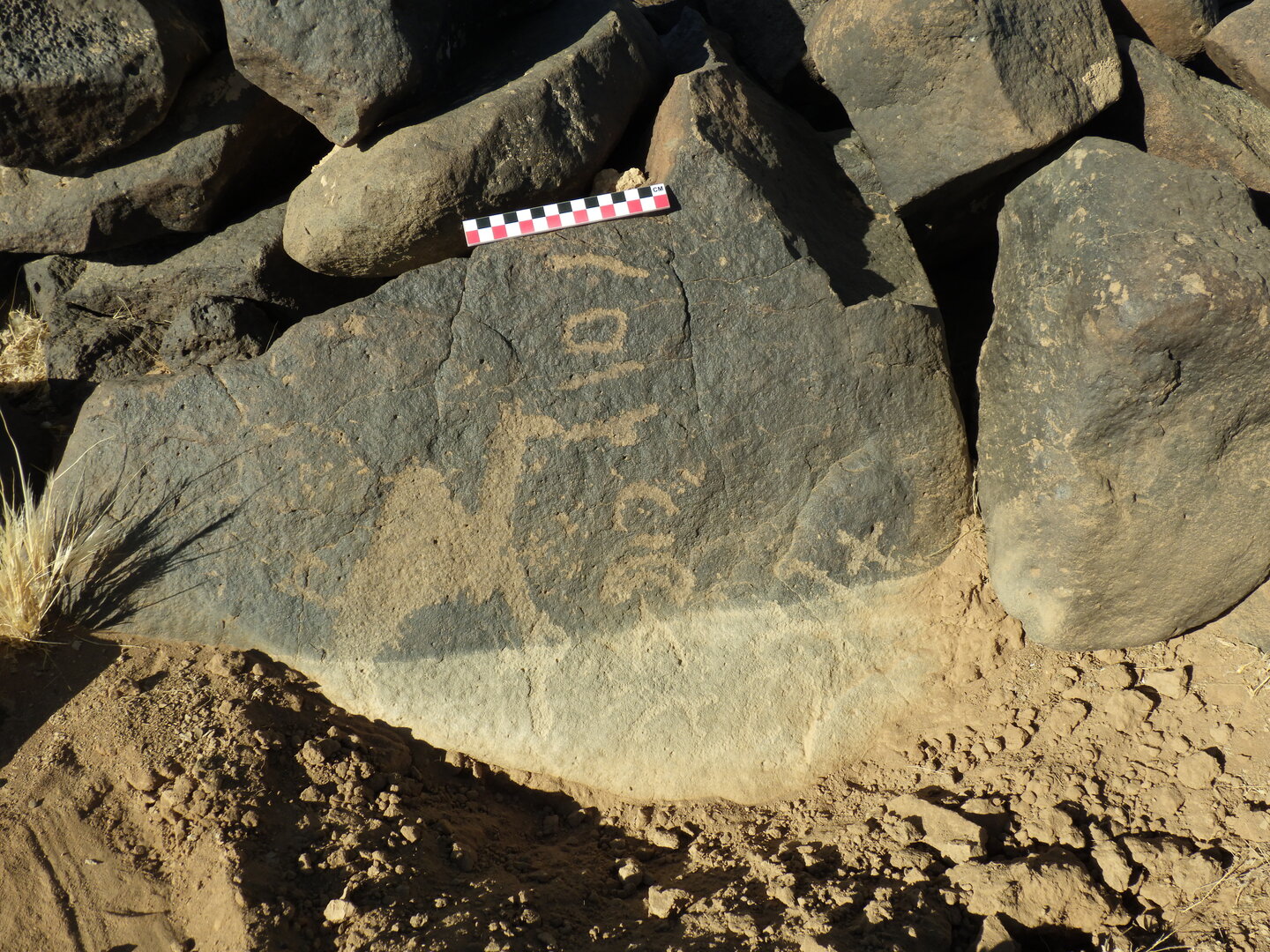 Image of BES26_HRN1 1
