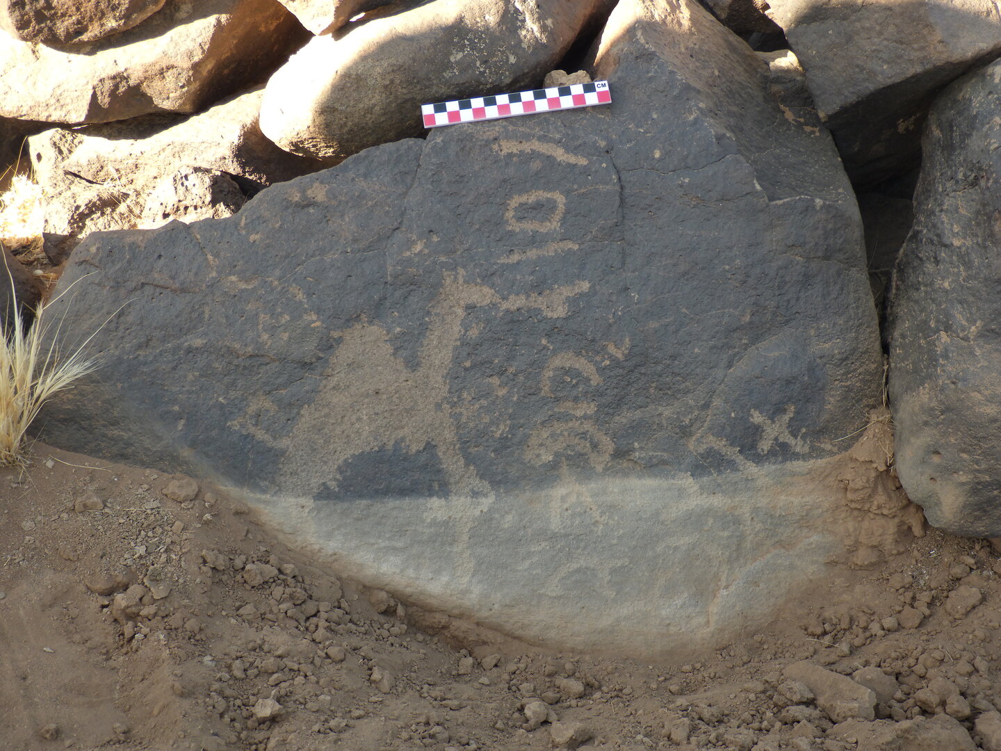 Image of BES26_HRN1 1