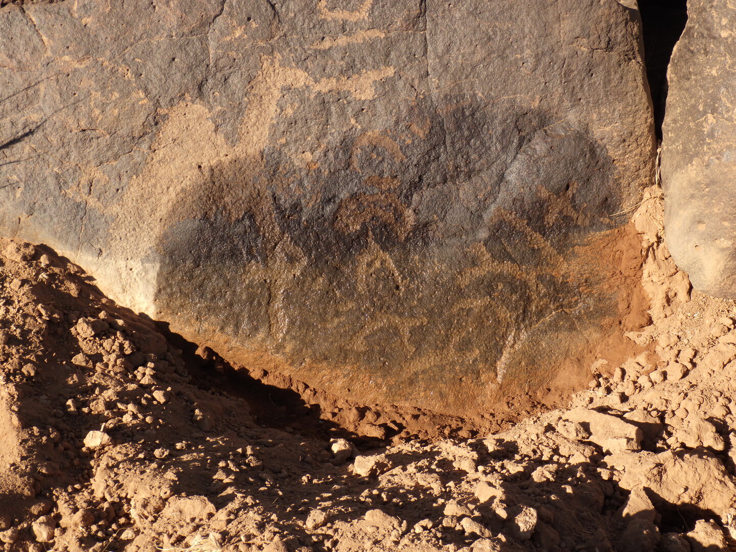 Image of BES26_HRN1 1