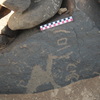 Image of BES26_HRN1 1