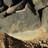 Image of BES26_HRN1 1