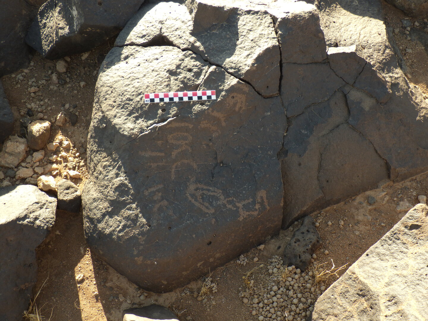 Image of BES26_HRN1 9