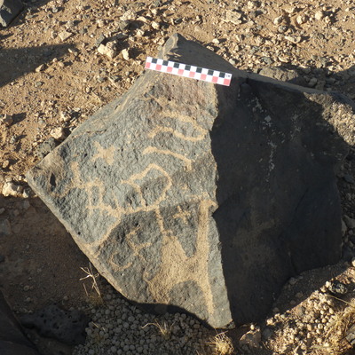 Image of BES26_HRN1 12