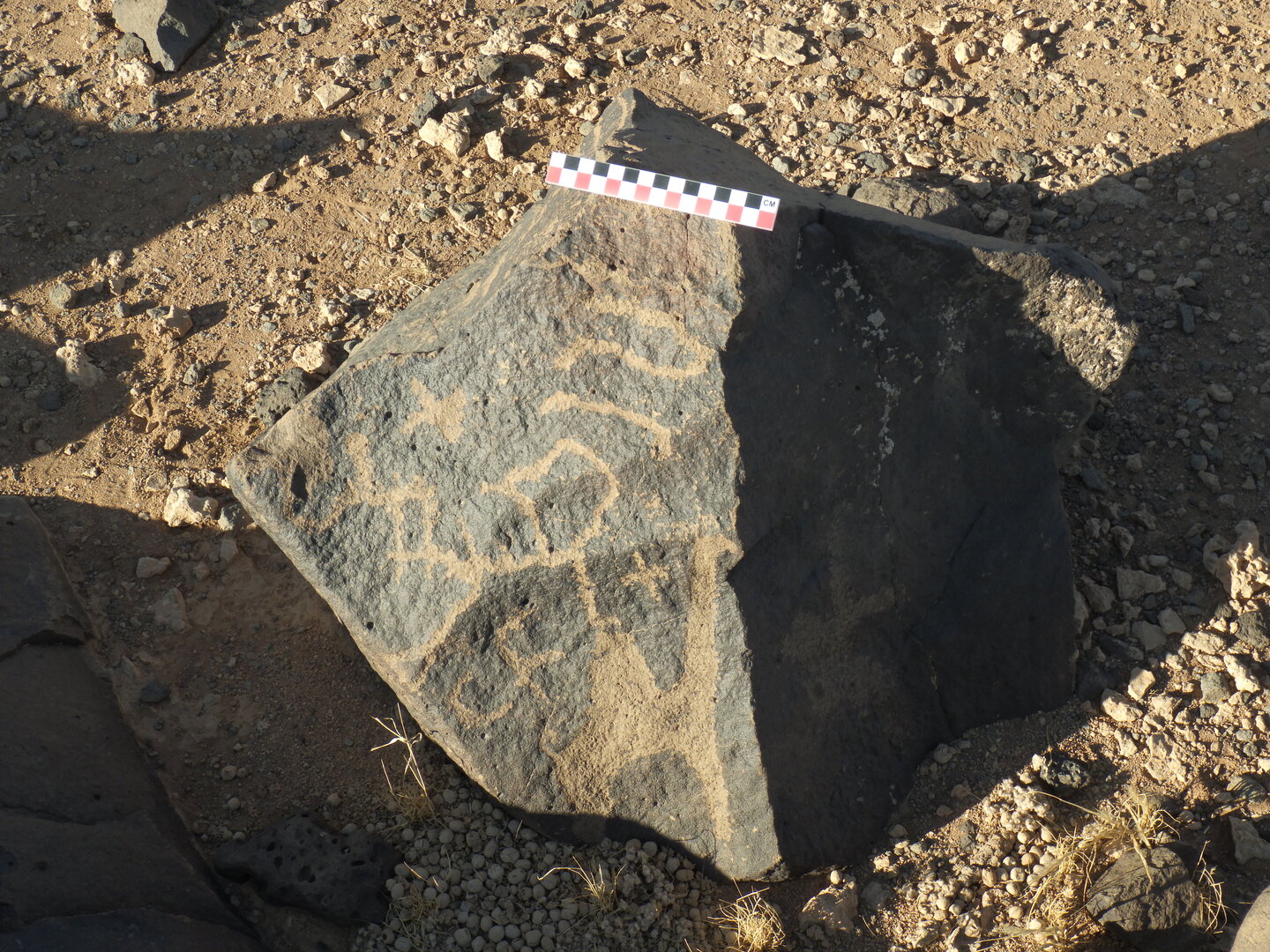 Image of BES26_HRN1 12