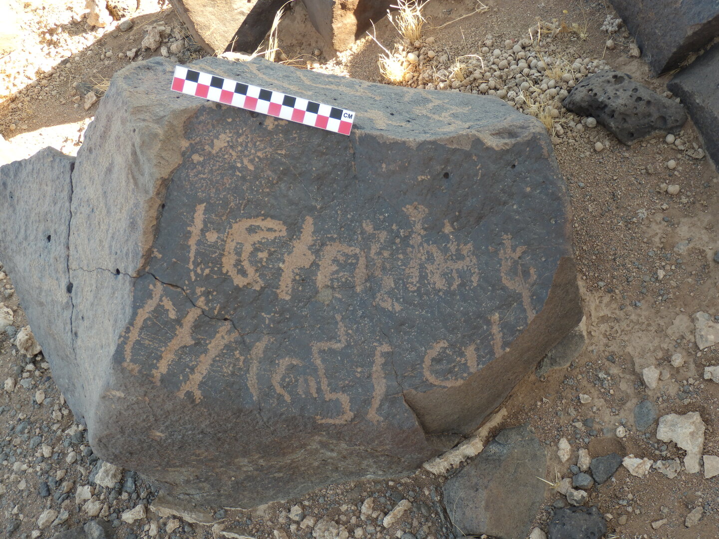 Image of BES26_HRN1 15
