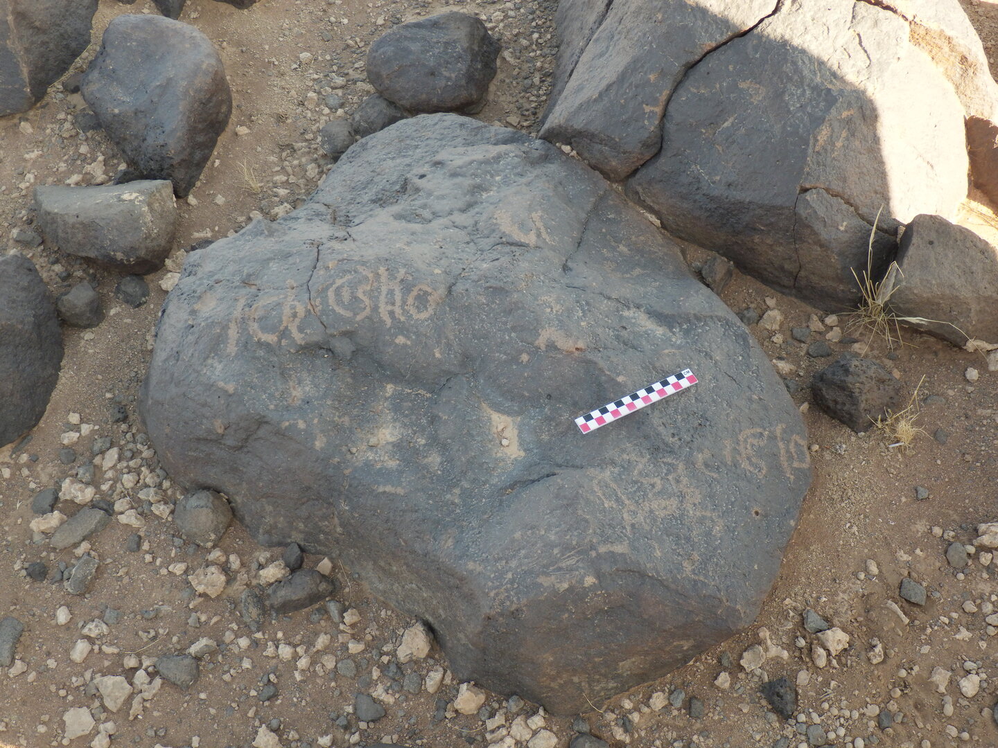 Image of BES26_HRN1 16