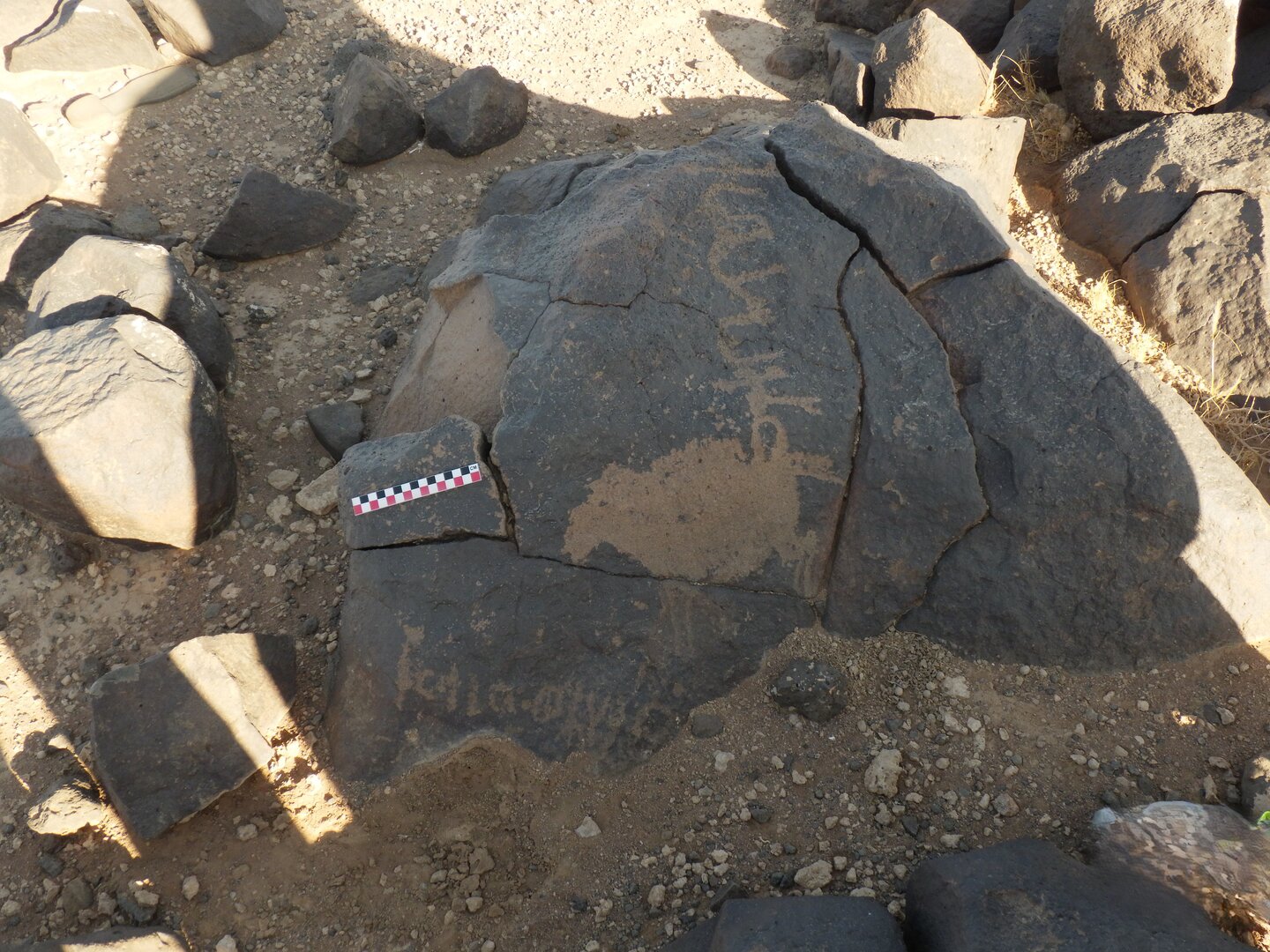 Image of BES26_HRN1 18