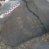Image of BES26_HRN1 18
