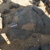Image of BES26_HRN1 18
