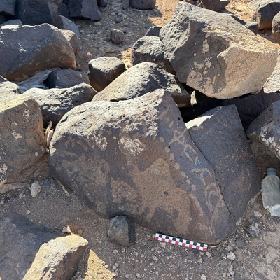 Image of BES26_HRN1 2