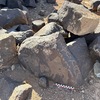 Image of BES26_HRN1 2