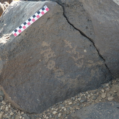 Image of BES26_HRN1 18